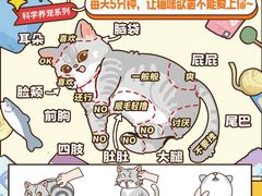 -Bastet sally猫舍购宠(静安店)