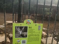 -无锡动物园·太湖欢乐园
