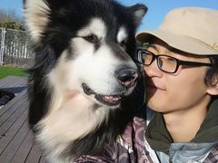 -多乐狗狗宠物训练工作室