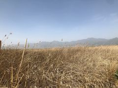 -野鸭湖国家湿地公园