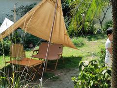 -Jo's Garden
