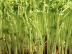 -新花城蟹粉馆(乌鲁木齐店)