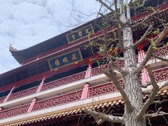 -钦赐仰殿道观