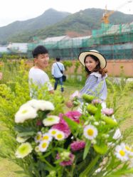 点击看大图 -薇咖映画婚纱摄影工作室