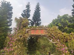 -东莞植物园
