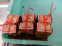 -南通博物苑-崇川人民公园