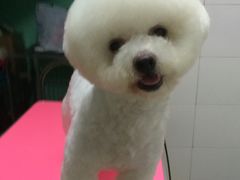 -喵宠乐园·撸猫互动·猫舍