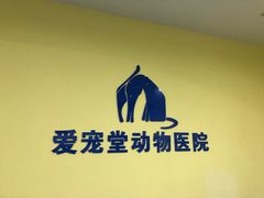 -瑞鹏宠物医院·爱宠堂·骨外专科(西荷分院)