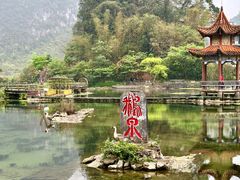 -靖西鹅泉风景区