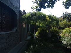 -梅园