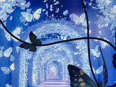 -深圳龙华星河COCO City(民治店)