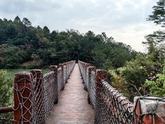 -广州白江湖森林公园