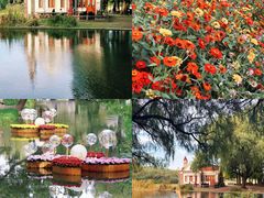 -上海共青森林公园