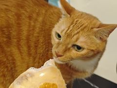 -吴山烤禽 (吴山路店)