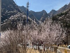 -妙峰山风景名胜区