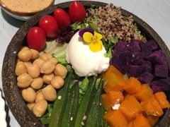 素沙拉-随心小姐