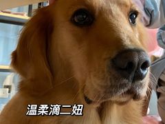 -汪说·狗咖(旺城大厦店)