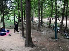 -白水寺森林公园