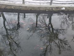 -水磨沟公园