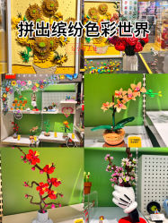 -乐高授权专卖店(浦东嘉里城店)