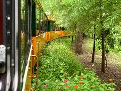 -合肥滨湖国家森林公园