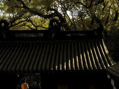 -普陀山风景名胜区-法雨禅寺