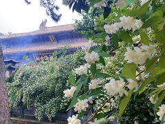 -潭柘寺景区