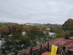 -婺源月亮湾