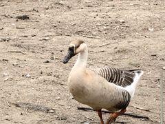 -昆山城市生态森林公园