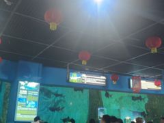 -大连圣亚海洋世界