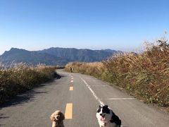 -山王坪喀斯特国家生态公园