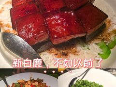 -新白鹿餐厅(松江开元地中海店)