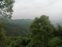 -城外有星光桥舍(南山店)