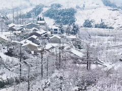 -四明山国家森林公园