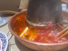 -东镇老火锅(长春路首店)