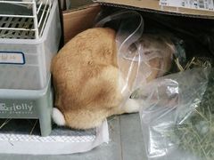 -雨林宠物医院 非犬猫异宠专科