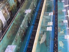 -考记泥焗鸡农庄·海鲜(北洛秘境店)