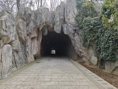 -巢湖姥山岛