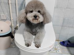 -宠福鑫康馨动物医院·骨科·眼科