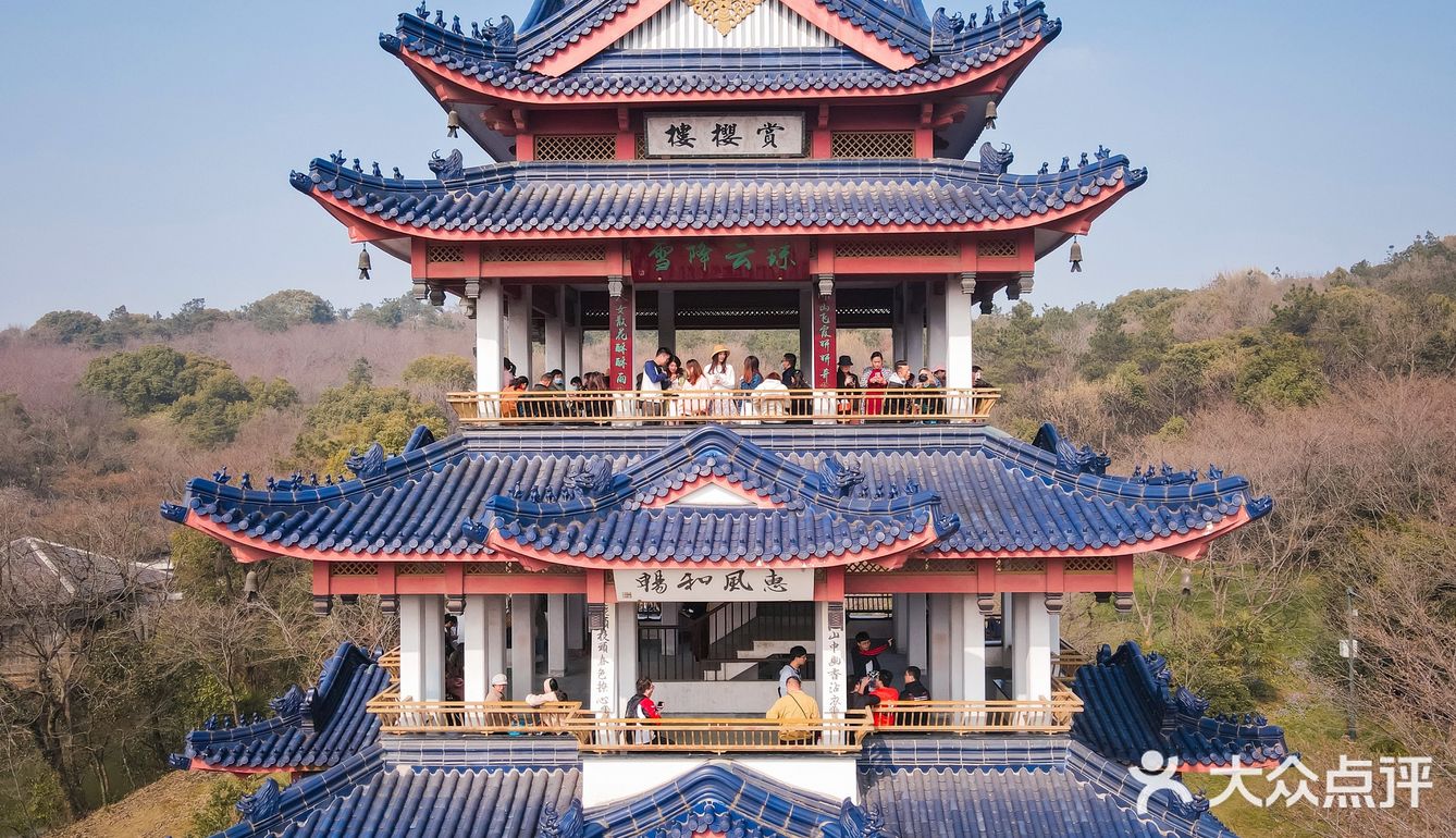 🌸无锡鼋头渚-樱花没开
