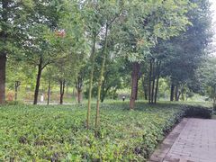 -眉山湿地公园(东坡区)