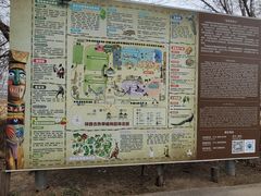 -呀路古热带植物园