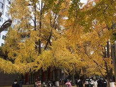 -四川大学(华西校区)