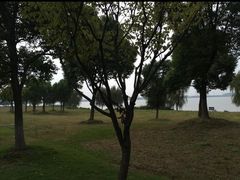 -漕湖湿地公园