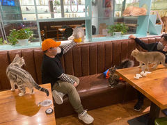 -猫小院猫主题餐厅(三里屯店)