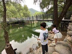 -天源渔港农庄