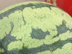-香丰阁·烤鸭·川湘菜(昌平店)