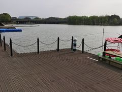 -长田漾湿地公园