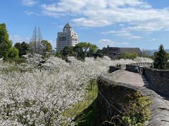 -台州府城(东湖)