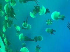 -福州罗源湾海洋世界旅游区